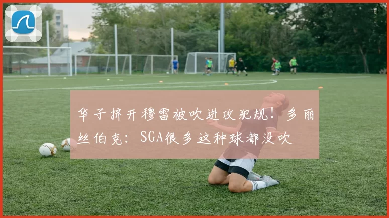 华子挤开穆雷被吹进攻犯规！多丽丝伯克：SGA很多这种球都没吹