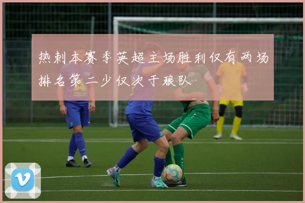 热刺本赛季英超主场胜利仅有两场排名第二少仅次于狼队