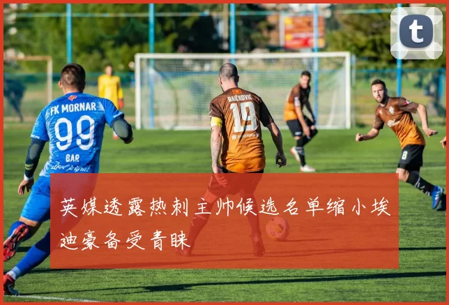 英媒透露热刺主帅候选名单缩小埃迪豪备受青睐
